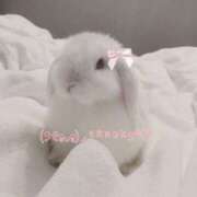 ヒメ日記 2025/12/08 23:19 投稿 うさ サマンサ(和歌山)