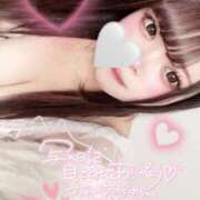 ヒメ日記 2025/12/10 11:45 投稿 うさ サマンサ(和歌山)