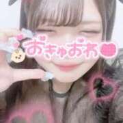 ヒメ日記 2025/12/11 04:15 投稿 うさ サマンサ(和歌山)