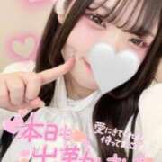 うさ 🐰会った時から♡ サマンサ(和歌山)