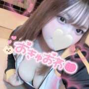 ヒメ日記 2025/12/12 03:45 投稿 うさ サマンサ(和歌山)