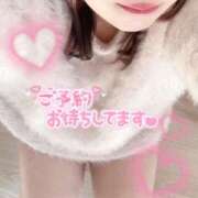 ヒメ日記 2025/12/12 16:30 投稿 うさ サマンサ(和歌山)