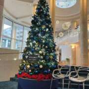 ヒメ日記 2025/12/26 11:36 投稿 あさひ 丸妻 横浜本店