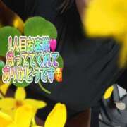 ヒメ日記 2026/01/16 14:34 投稿 あさひ 丸妻 横浜本店