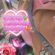 ヒメ日記 2026/01/31 11:46 投稿 あさひ 丸妻 横浜本店