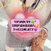 ヒメ日記 2026/02/24 11:21 投稿 あさひ 丸妻 横浜本店