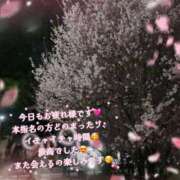 ヒメ日記 2026/03/15 19:55 投稿 あさひ 丸妻 横浜本店