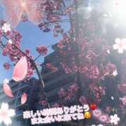 ヒメ日記 2026/03/25 01:06 投稿 あさひ 丸妻 横浜本店