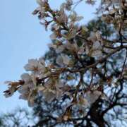 如月 大好きな子 サブマリン