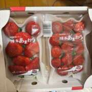 ヒメ日記 2026/01/16 23:56 投稿 パイン ピンクコレクション大阪