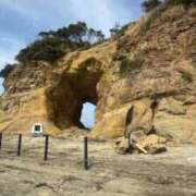 ヒメ日記 2026/03/30 20:37 投稿 パイン ピンクコレクション大阪