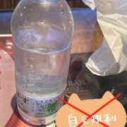 ヒメ日記 2026/05/12 00:51 投稿 パイン ピンクコレクション大阪