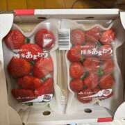 ヒメ日記 2026/01/17 00:04 投稿 パイン ピンクコレクション大阪キタ店