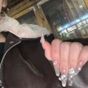 ヒメ日記 2026/01/06 22:12 投稿 パイン ピンクコレクション尼崎店