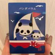 ヒメ日記 2026/01/28 04:22 投稿 パイン ピンクコレクション尼崎店