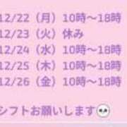 ヒメ日記 2025/12/20 10:26 投稿 アキ Aube