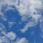 ヒメ日記 2025/12/22 11:26 投稿 アキ Aube