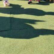 ヒメ日記 2025/12/24 11:26 投稿 アキ Aube