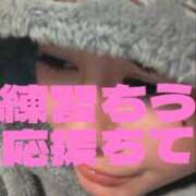 ヒメ日記 2025/12/25 21:06 投稿 アキ Aube