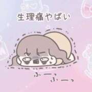 ヒメ日記 2026/01/27 10:26 投稿 アキ Aube