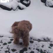 ヒメ日記 2026/02/08 07:26 投稿 アキ Aube