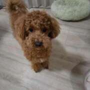 ヒメ日記 2026/02/22 22:06 投稿 アキ Aube