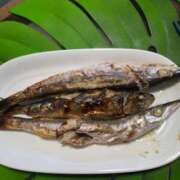 ヒメ日記 2026/03/13 17:26 投稿 アキ Aube