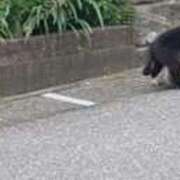 ヒメ日記 2026/04/19 20:46 投稿 アキ Aube