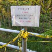 ヒメ日記 2026/05/09 22:56 投稿 アキ Aube