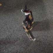 ヒメ日記 2026/08/01 21:26 投稿 アキ Aube