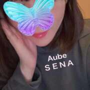 ヒメ日記 2026/02/09 12:26 投稿 セナ Aube