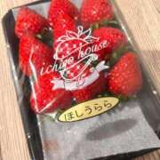 ヒメ日記 2026/03/14 14:36 投稿 セナ Aube