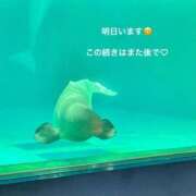 ヒメ日記 2026/03/27 20:46 投稿 セナ Aube