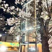 ヒメ日記 2026/03/28 21:06 投稿 セナ Aube