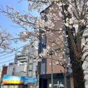 ヒメ日記 2026/03/29 13:36 投稿 セナ Aube