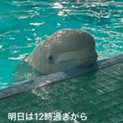 ヒメ日記 2026/04/06 15:17 投稿 セナ Aube
