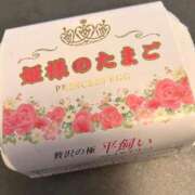 ヒメ日記 2026/05/08 18:56 投稿 セナ Aube