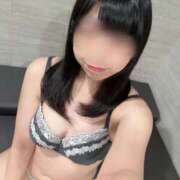 ヒメ日記 2025/12/17 13:19 投稿 ラミ Aube