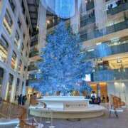 ヒメ日記 2025/12/24 13:26 投稿 キョウカ Aube