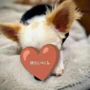 ヒメ日記 2026/02/14 20:46 投稿 キョウカ Aube