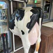 ヒメ日記 2026/02/25 15:16 投稿 ノゾミ Aube