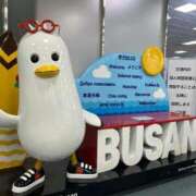 ヒメ日記 2026/01/24 14:48 投稿 サエ ソープランド マックス