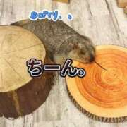 ヒメ日記 2026/03/30 17:30 投稿 サエ ソープランド マックス