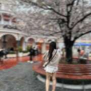 七瀬かな 今日も♡ Claris Tokyo～クラリス東京～