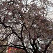 ヒメ日記 2026/04/07 23:00 投稿 優空-ゆあ【FG系列】 ほんとうの人妻　柏店