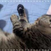 ヒメ日記 2026/01/30 22:32 投稿 ちづる 完熟ばなな千葉店