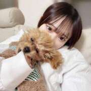 ヒメ日記 2026/03/03 03:09 投稿 かのん ウルトラドリーム