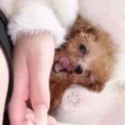 ヒメ日記 2026/03/18 10:19 投稿 かのん ウルトラドリーム