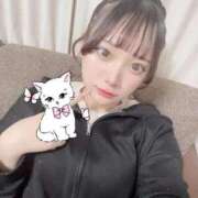 ヒメ日記 2026/04/13 09:39 投稿 かのん ウルトラドリーム