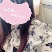 ようか たこやきたこやき ぷるるん小町 京橋店